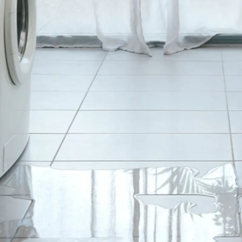 Appliance Leak Cleanup in Miami Shores, FL