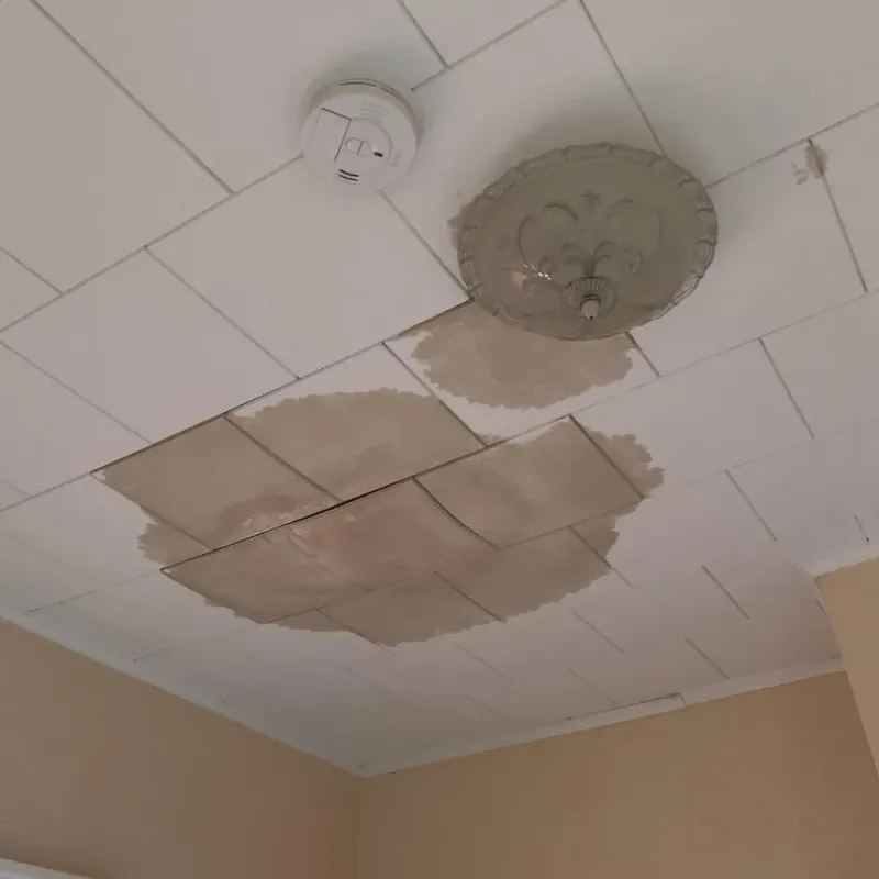 Ceiling Water Damage Repair in Miami Shores, FL