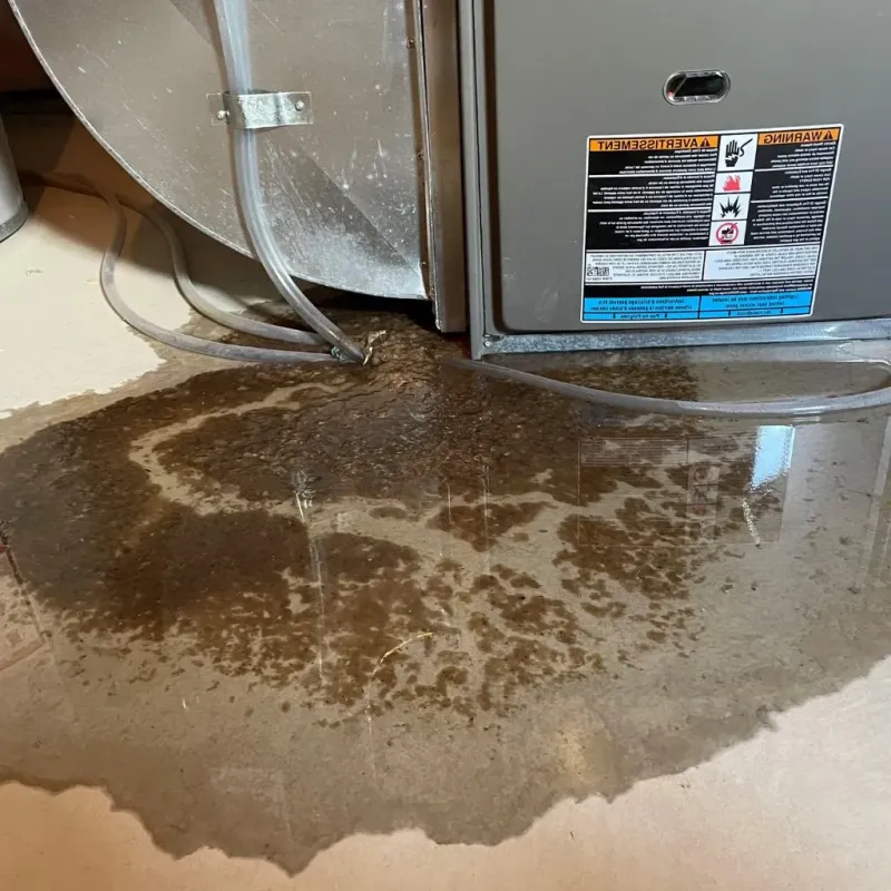 Pipe Burst and Leak Restoration in Miami Shores, FL